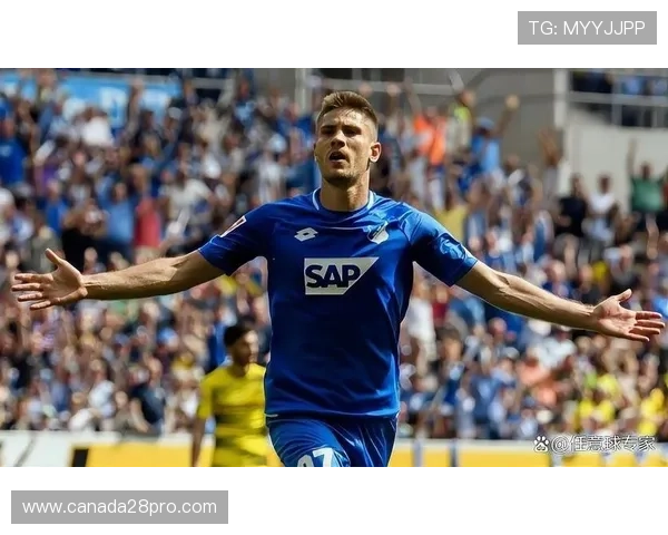 霍芬海姆主场迎战海登海姆 争夺本赛季第二场胜利 霍芬海姆主场迎战海登海姆 争夺本赛季第二场胜利