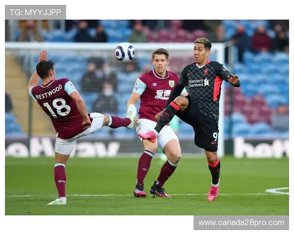 布莱顿海岸风格足球:地域文化的独特体现与魅力展现 布莱顿海岸风格足球:地域文化的独特体现与魅力展现